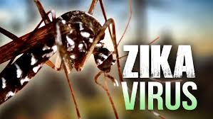 Sesa divulga boletim de Zika