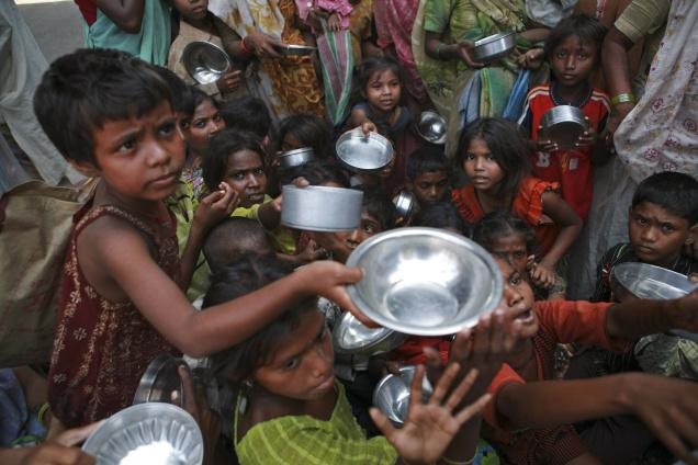 Relatório mostra que 815 milhões de pessoas passam fome no mundo