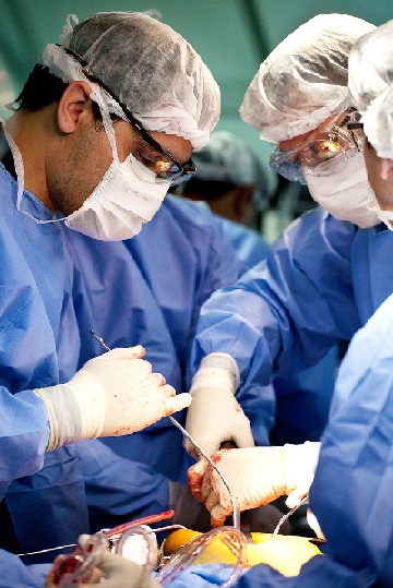 Transplantes de órgãos: uma luta contra o tempo para salvar vidas