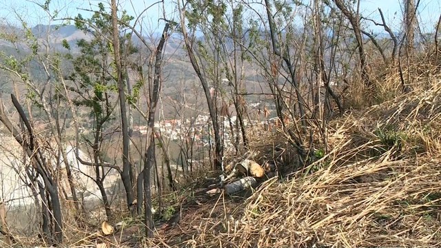 Mais de mil queimadas são registradas no Sul do ES em 2017