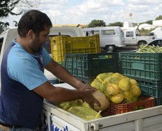 Preço de frutas e hortaliças cai nas Ceasas no mês de agosto