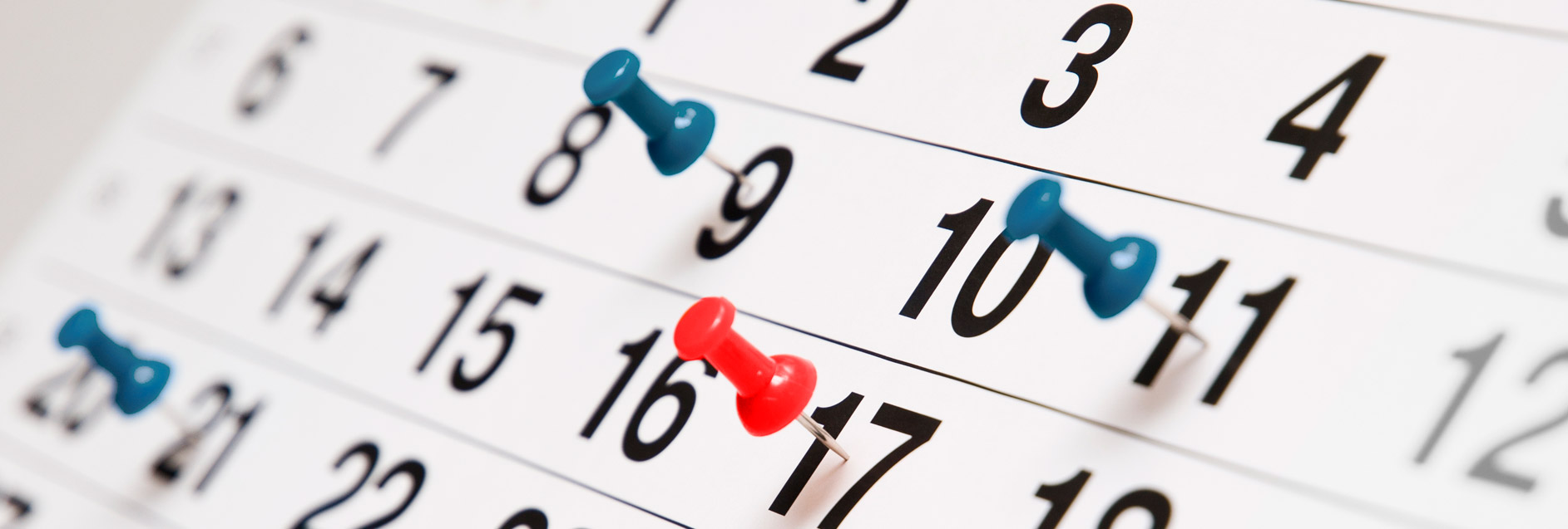 Eventos de setembro movimentarão R$ 50 milhões na economia local