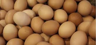 Portugal garante não ter ovos contaminados