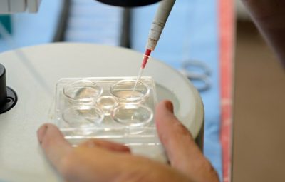 Anvisa libera novo remédio para apoiar reprodução assistida 400x255 - Anvisa aprova novos tratamentos contra o câncer
