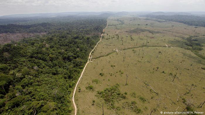 Estudo lançado na COP23 indica caminhos para o Brasil zerar  o desmatamento na Amazônia