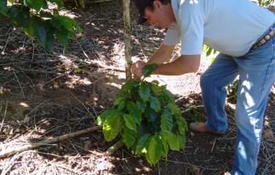 produtor rural 400x255 - Produtor rural do ES monta pequena agroindústria de café com apoio do Senar-ES