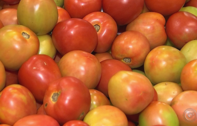 tomate 400x255 - Inflação oficial ganha força no início de 2018 e fica em 0,39%, indica prévia