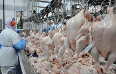 frigoríficos brasileiros exportar frango 400x255 - União Europeia embarga 20 frigoríficos de frango do Brasil