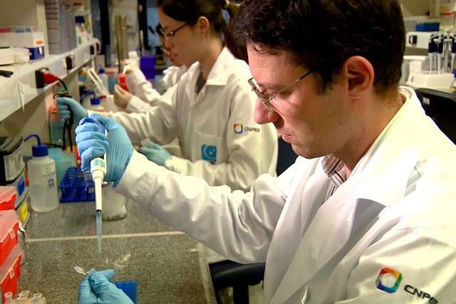 Salmonella tem resistência a diferentes antibióticos, indica pesquisa