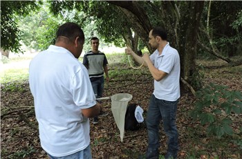 Iconha: Vigilância recolhe amostras de mosquitos para investigar febre amarela