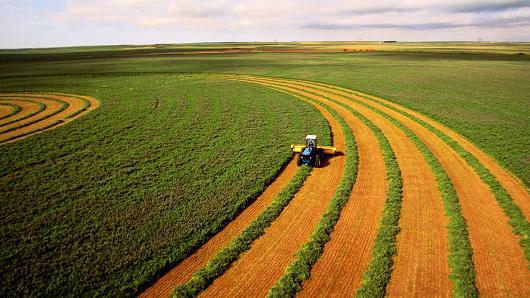 Banco Central publica Resolução que regulamenta renegociação dos financiamentos agrícolas