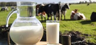leite - Estabelecimentos registrados no SIE/IDAF  poderão comercializar leite e derivados em todo o país