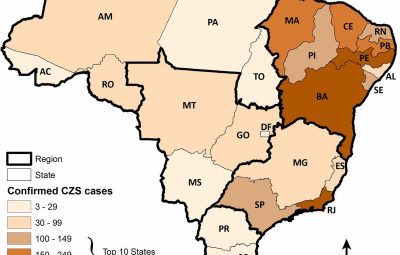 microcefaliacasos 400x255 - Brasil teve 119 mil nascimentos a menos entre 2015 e 2016, período de maior circulação do zika