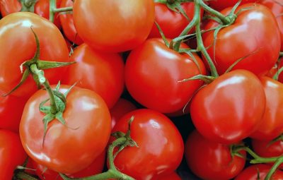 tomates 400x255 - Rastreabilidade para oito produtos vegetais começa a ser obrigatório em maio