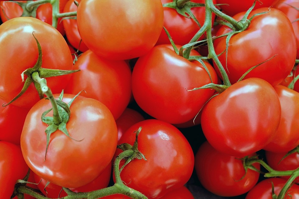 Rastreabilidade para oito produtos vegetais começa a ser obrigatório em maio