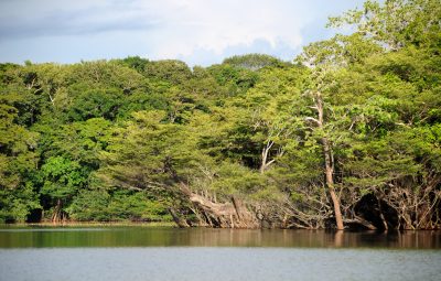 Amazônia e Caatinga ganham novas áreas protegidas 400x255 - Amazônia e Caatinga ganham novas áreas protegidas