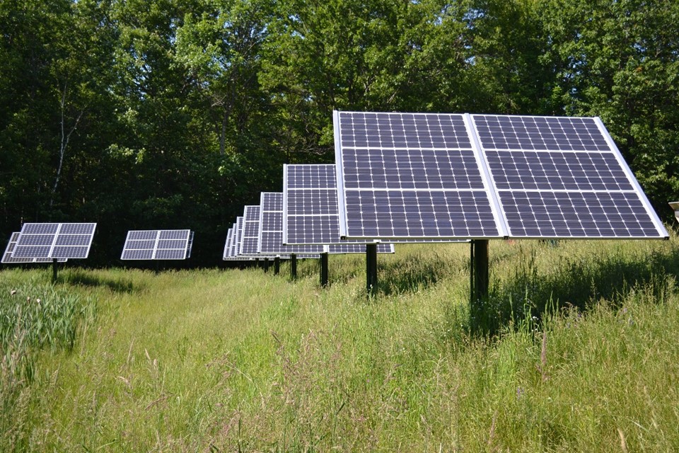 Painéis fotovoltaicos podem ser economia para micro e pequenas empresas