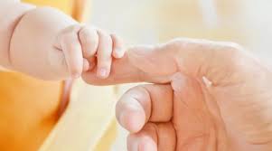 licença para avô ou avó de bebê sem registro de pai - Câmara aprova licença para avô ou avó de bebê sem registro de pai