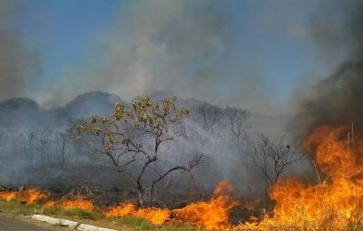 queimadas 400x255 - Queimadas em áreas florestais e de lavoura aumentam 52% este ano