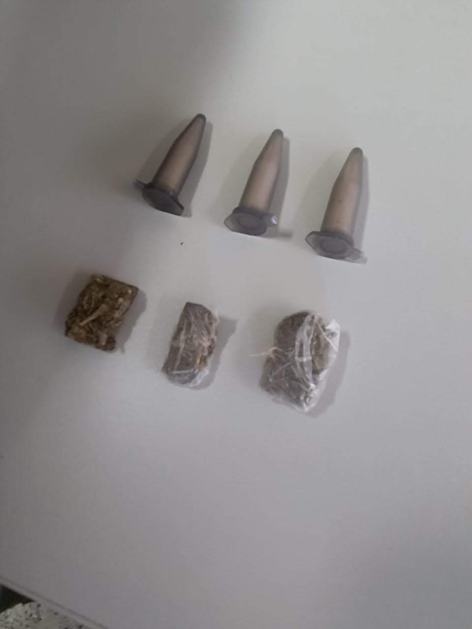 POLÍCIA MILITAR APREENDE ENTORPECENTES E DETÉM INDIVÍDUO COM MANDADO DE PRISÃO EM PIÚMA