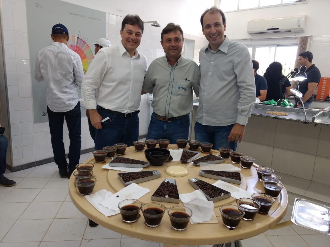 Irrigação adequada proporciona economia de água e melhora a qualidade do café