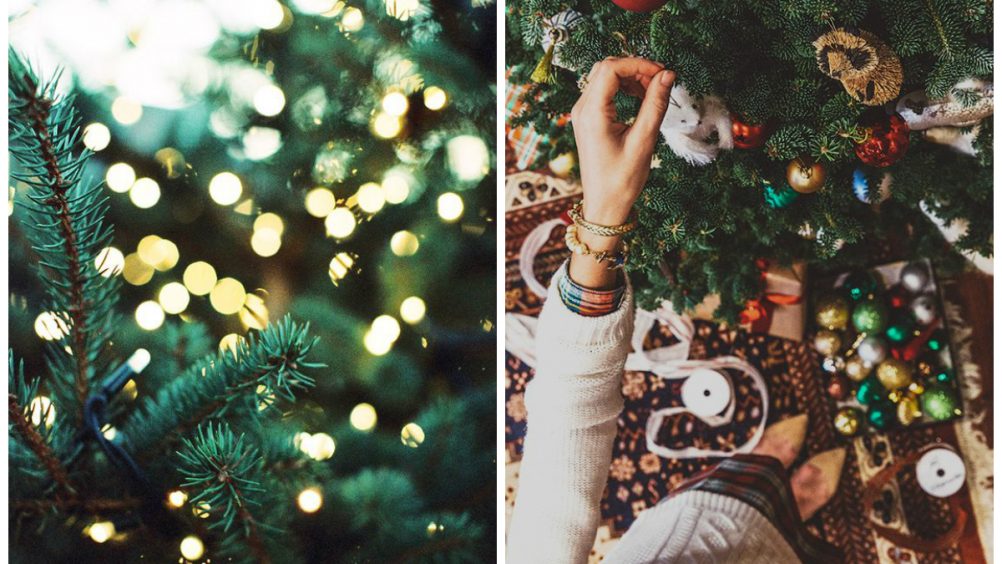 EDP orienta sobre instalação segura de enfeites natalinos