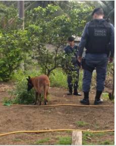 pm 2 - POLICIAIS MILITARES E POLICIAIS CIVIS PRENDEM QUADRILHA ENVOLVIDA COM TRAFICO DE DROGAS NA CIDADE DE ANCHIETA