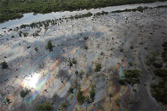 Baía de Guanabara - Transpetro já recolheu 75% do óleo que vazou na Baía de Guanabara