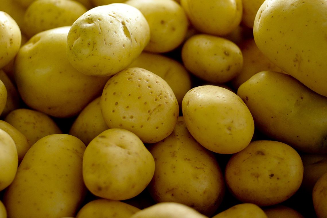 Alta no preço da batata e cebola pode deixar a ceia de Natal mais cara