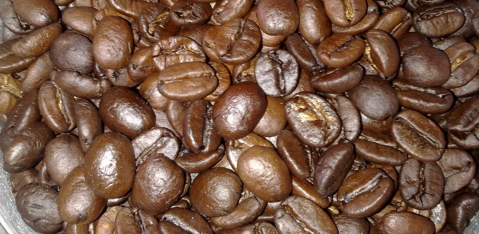 Com 3,6 mi de toneladas, produção de café é a maior da história, aponta IBGE