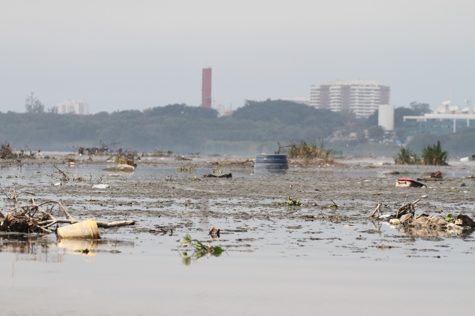Descaso com a Baía de Guanabara causa impactos na saúde, no transporte e no turismo e provoca prejuízo de bilhões ao RJ, alerta ONG