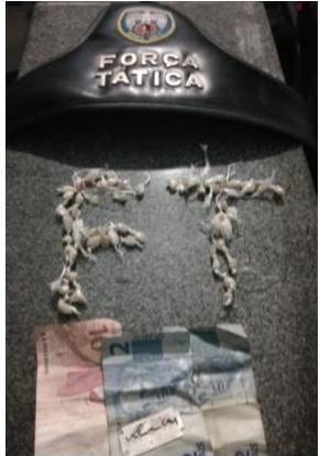 PM REALIZA APREENSÕES DE DROGAS NA 10ª CIA IND
