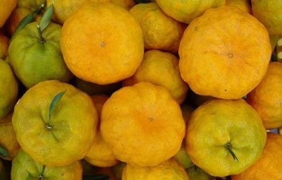 precos ceasa 2  400x255 - Inflação de 2018: veja as maiores altas e as maiores baixas e o que mais pesou no bolso