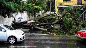 Chuva provoca enchentes e queda de 325 árvores em São Paulo - Chuva provoca enchentes e queda de 325 árvores em São Paulo