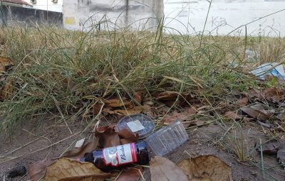 Cuidados simples evitam a proliferação do Aedes aegypti 400x255 - Cuidados simples evitam a proliferação do Aedes aegypti