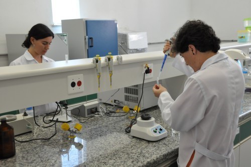 Fapes oferta 130 bolsas para cursos de mestrado e doutorado