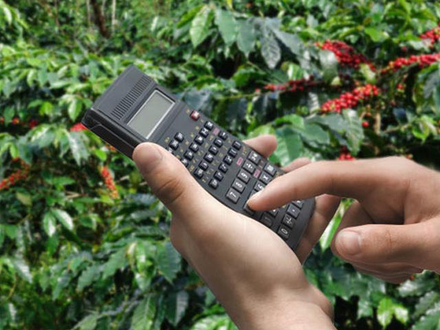 Produção de café da Colômbia aumenta 42% em fevereiro ante 2024