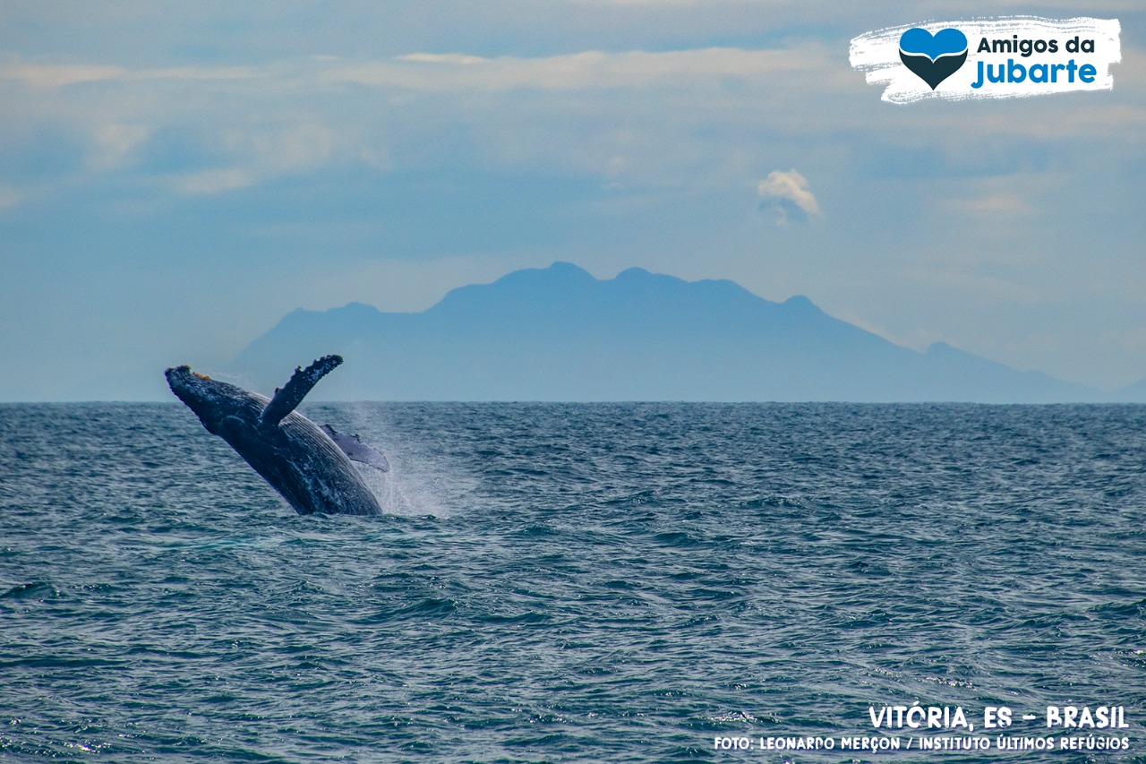 Grupos promovem qualificação para atender os observadores de baleia no Espírito Santo