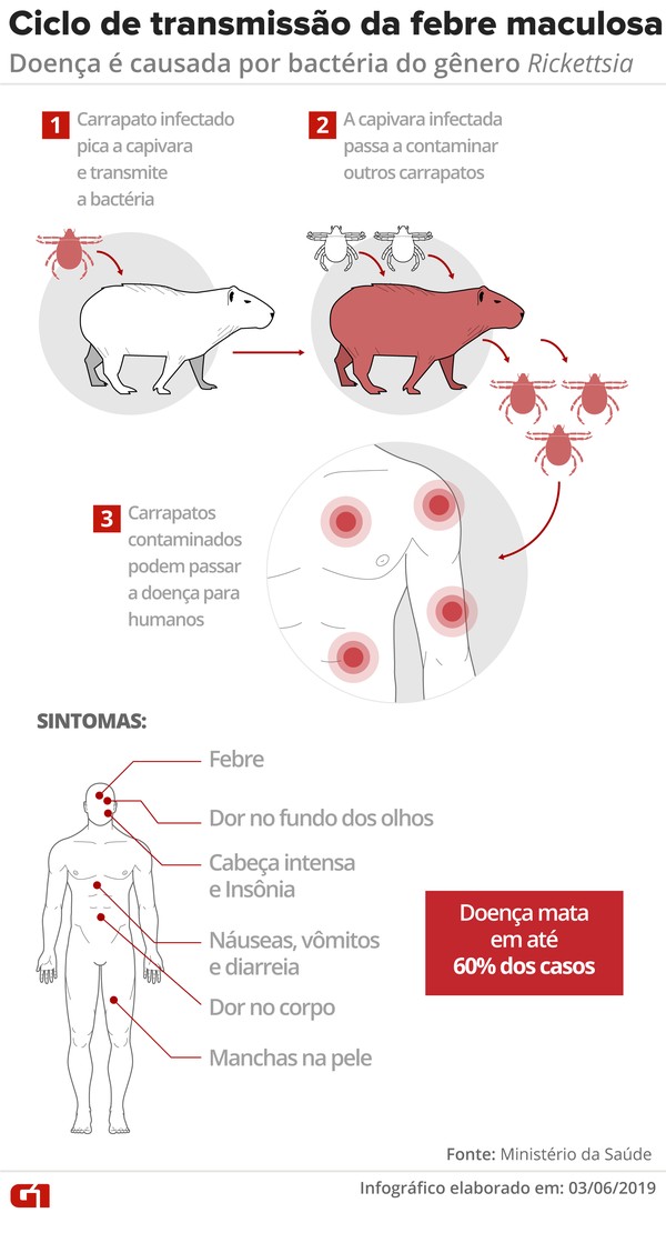 Prefeitura de Contagem confirma duas mortes por febre maculosa