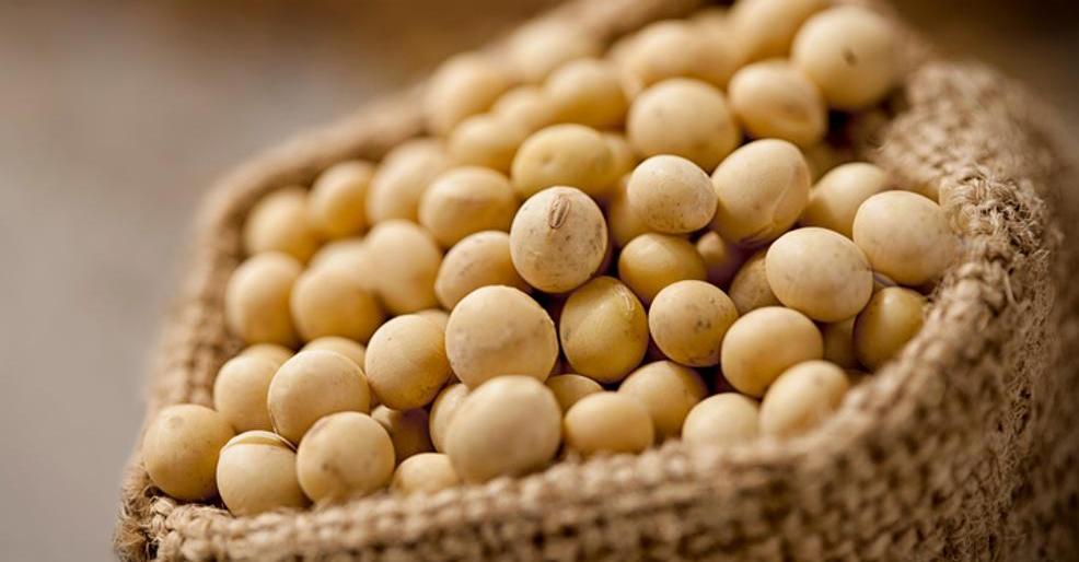 Soja brasileira chega a novo porto na China