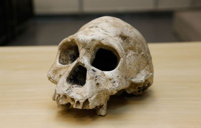 Descoberta de brasileiros pode mudar história da humanidade 400x255 - Descoberta de brasileiros pode mudar história da humanidade