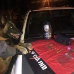 RELEASE 083.B 150x150 - 10ª CIA IND APRESENTA RESULTADOS POSITIVOS DA 46ª FESTA DA BANANA E DO LEITE