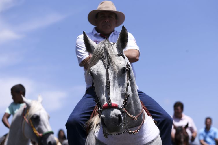 Plenário da Câmara aprova projeto que regulamenta a vaquejada
