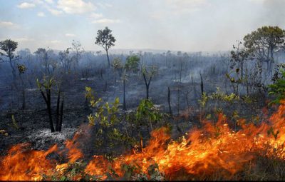 queimadas 1 400x255 - Governo suspende a prática de queimadas em todo o país por 60 dias