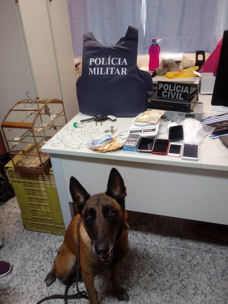 OPERAÇÃO INTEGRADA ENTRE PM E PC APREENDE ARMA E DROGAS NA ÁREA DA 10ª CIA IND