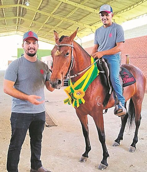 Égua que vale R$ 1 milhão tem vida de luxo em Guarapari