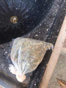 3 225x300 - 10ª COMPANHIA INDEPENDENTE REALIZA OPERAÇÃO FORÇA TOTAL