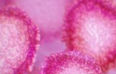 25949b77 f16c 42a7 a070 ab2539891cbf 400x255 - Espírito Santo registra o primeiro caso suspeito do coronavirus