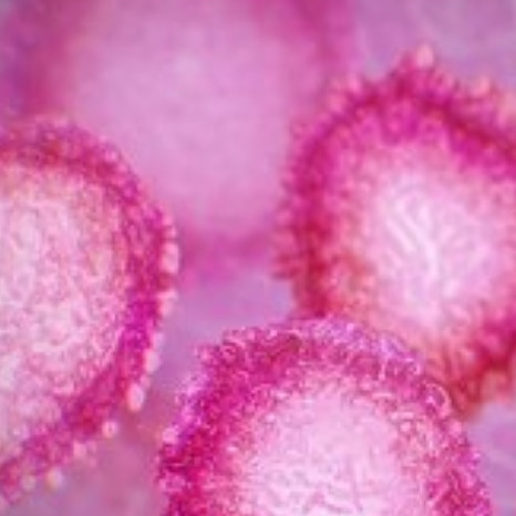 Espírito Santo registra o primeiro caso suspeito do coronavirus