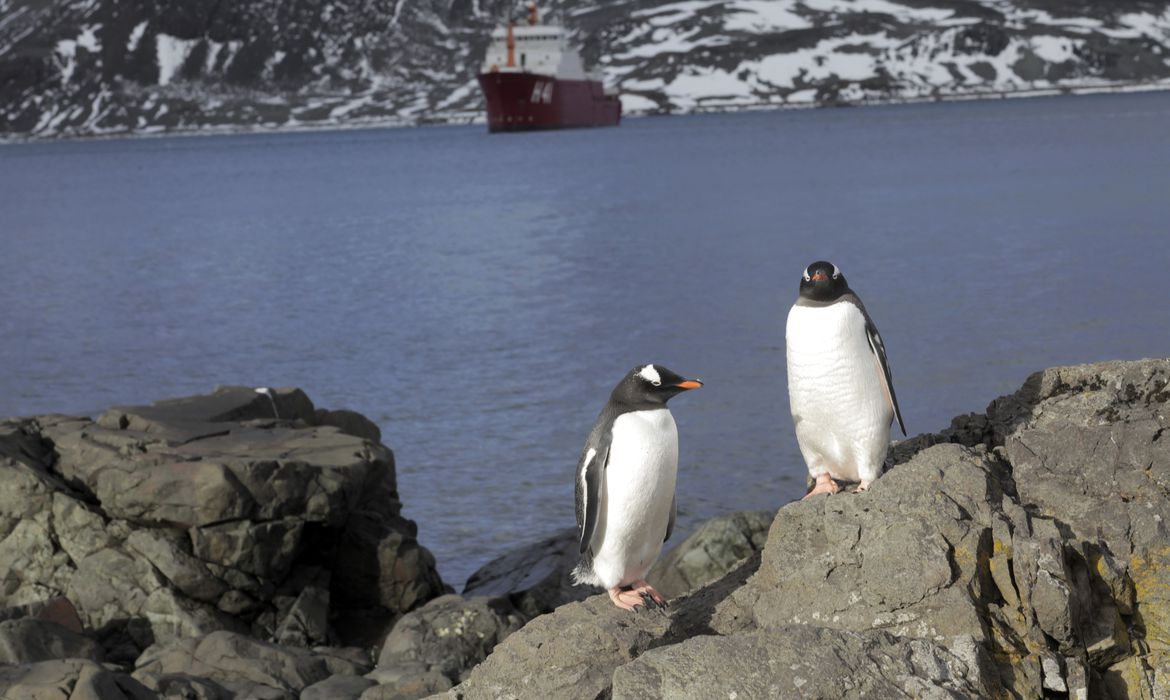 Degelo das calotas polares ocorre 6 vezes mais rápido que nos anos 90